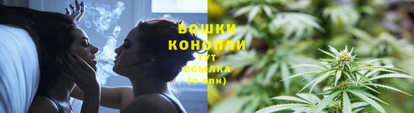 трава Алзамай