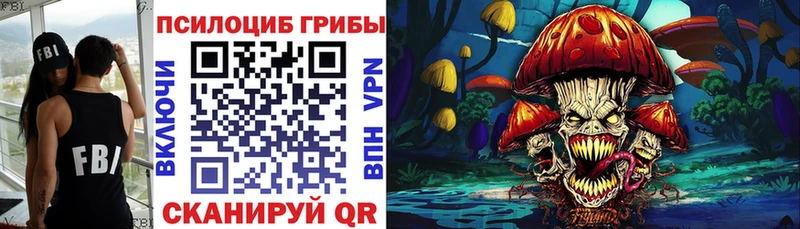 купить наркотик  Йошкар-Ола  Галлюциногенные грибы мицелий 